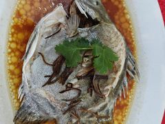 金鼓鱼-隆都四季香饭店(碧海路店)