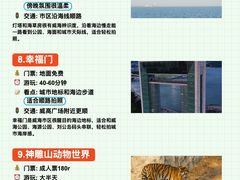 -幸福门