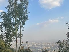 -杭州半山国家森林公园