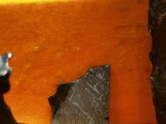 -志强陨石馆(双季花艺店)