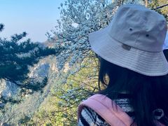 -庐山风景区花径公园