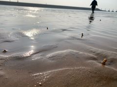 -青岛第二海水浴场