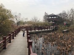 -长兴太湖图影湿地文化园