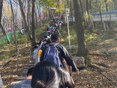 -帽儿山风景区