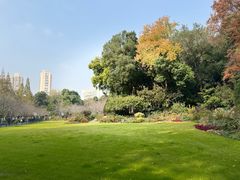 -上海市虹口区牙病防治所