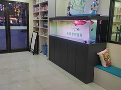 -天宠宠物医院24小时·急重症诊疗中心·全科·腔镜特色(和平分院)