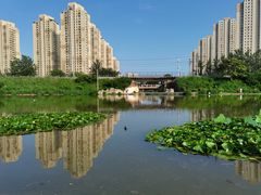 -前关湿地公园
