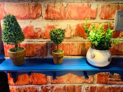 -小苹果儿童摄影(崇安店)