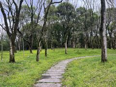-杭州植物园