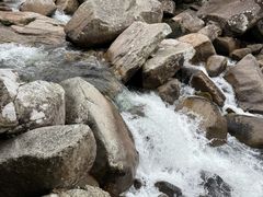 -海南热带雨林国家公园吊罗山景区