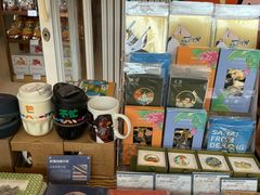-德宏芒市国际机场