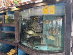 -新金盛·海鲜酒楼(盐田店)
