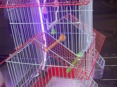 -宠爱我(南山店)