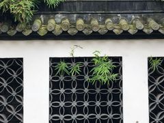 -龙潭水乡