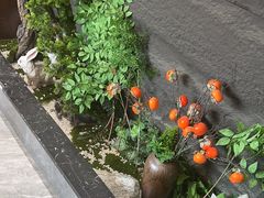 -俏东方·海味水饺·青岛菜(崂山店)