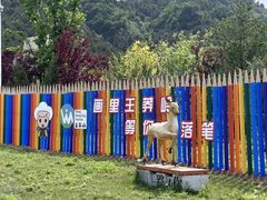 -王莽岭风景区