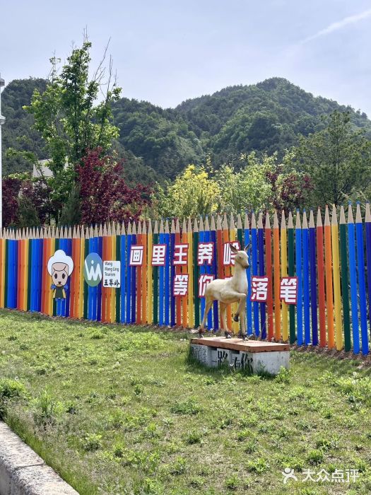 王莽岭风景区图片
