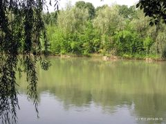 内景-中国扬子鳄村