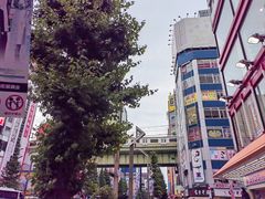 -秋叶原电器街
