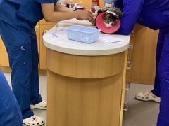 -联合动物医院(光谷诊疗中心)