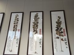 -艾通康缘艾灸.疼痛.睡眠养生馆(凤凰城店)