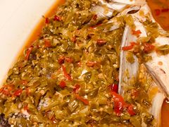 -凤凰湘语·湘粤鲜融(浦东旗舰店)