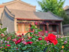 -莲池书院博物馆