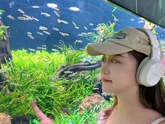 -海合安成都极地海洋公园
