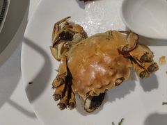 清蒸阳澄湖大闸蟹-万龙洲海鲜(阜外店)
