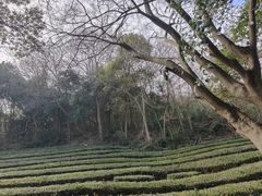 -敬亭山风景名胜区