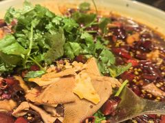 -华豫川酒家(大卫城店)