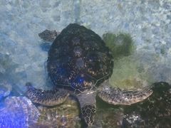 -福州罗源湾海洋世界旅游区