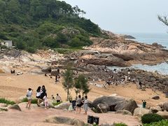-广东惠东海龟国家级自然保护区