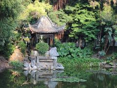 -深圳国际园林花卉博览园