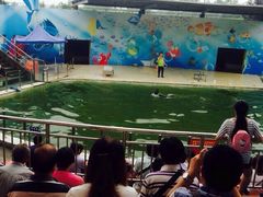 秦岭野生动物园-西安秦岭野生动物园