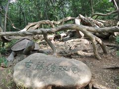 -赭山公园