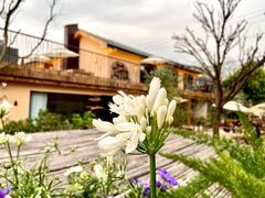 -悦哉·派对·草坪婚礼·围炉煮茶(三圣乡店)