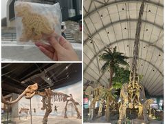 -辽宁古生物博物馆