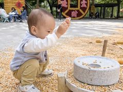 -北戴河集发农业梦想王国