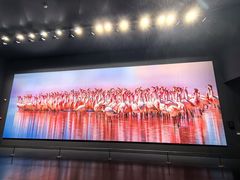 -罗红摄影艺术馆