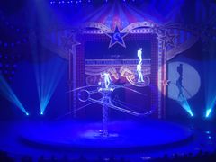 -珠海横琴长隆《卡卡虎奇遇记》