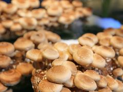 -V-ONE西雅图海鲜自助餐厅(仓山万达广场店)