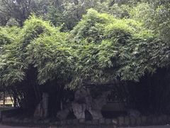 -孝子祠公园