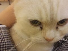 -万小咖.猫咖(中山路天虹店)