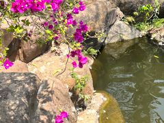 -曼听御花园