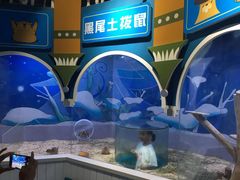 -海合安青岛极地海洋公园