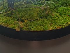 -同庆楼(金宝汇店)