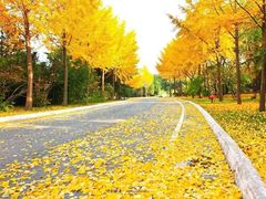 -白鹭湾湿地公园