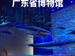 -广东省博物馆