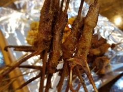 -东北鹤岗烧烤(麒麟紫荆城店)